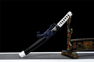 Pack Katana & Tanto - Ghost Of Tsushima Zwart