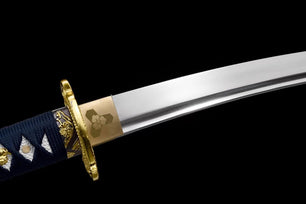 Seiryū Katana Set 青龍